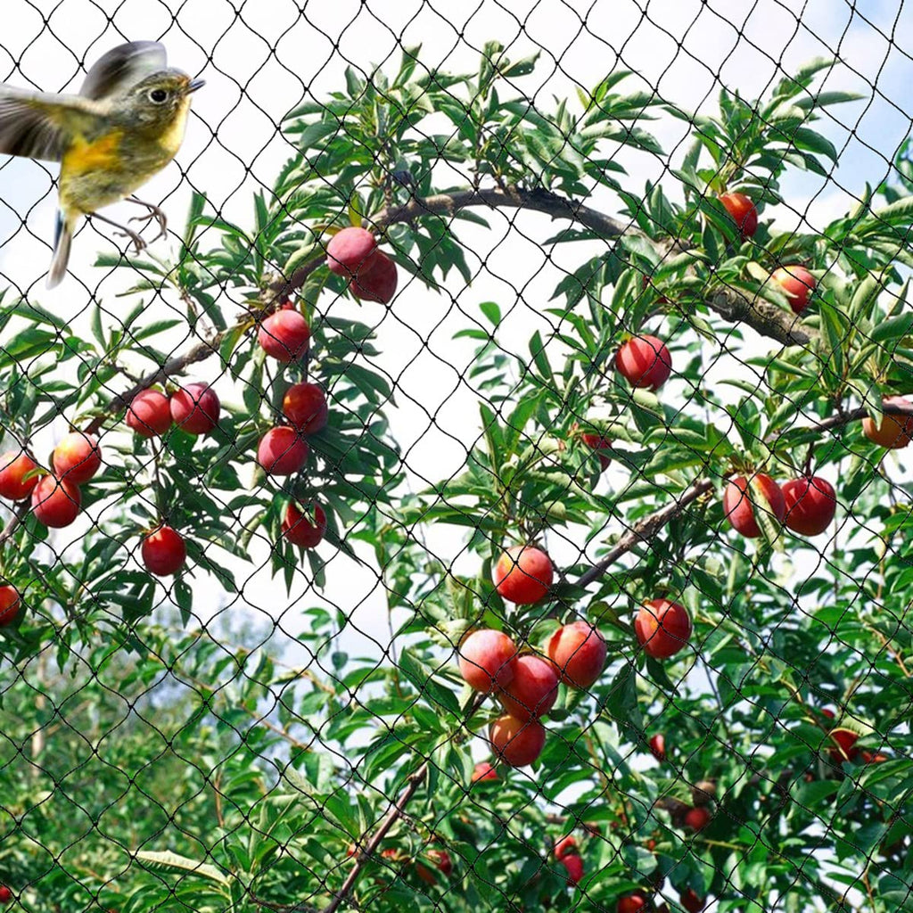 OGORI 25' x 25' Bird Netting Heavy Duty Nylon 3/4" Mesh Garden Netting Protect Fruit Trees, Plants and Vegetables