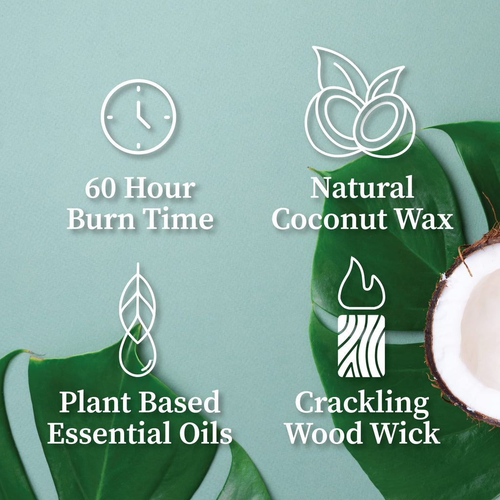 Hemlock Park Crackling Wood Wick Candle Handcrafted with Natural Coconut Wax and Essential Oils (Desert Prickly Pear, Standard 8 oz)