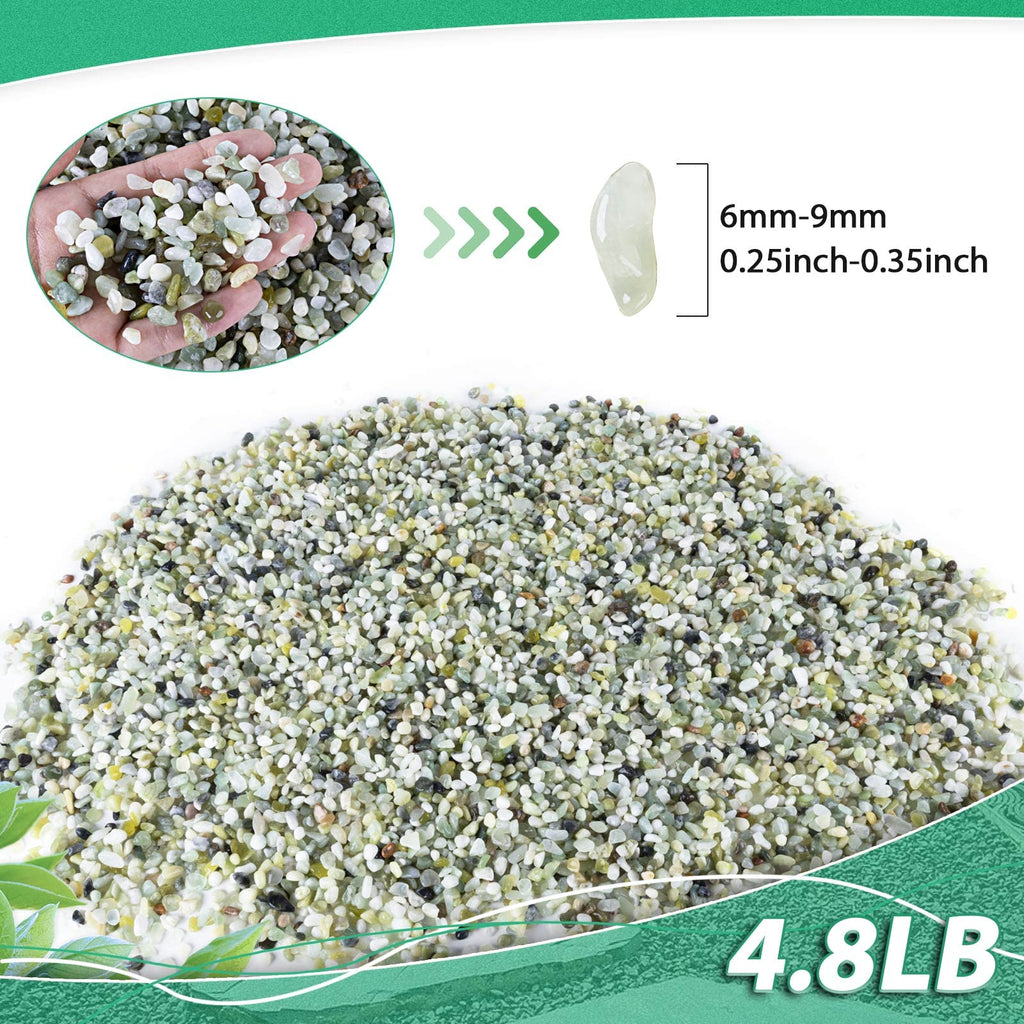Succulent Rocks for Plants Tiny Pebbles for Planters 4.8LB Pea Gravel Bulk Course Sand Soil Small Decorative Stones for Indoor Bonsai Pots Cactus Top Dressing Aquarium Garden Landscape, Green
