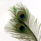 THARAHT 36pcs Peacock Feather Natural in Bulk 10-12 inch 25-30cm for Craft Vase Wedding Home Party Christmas Day Decoration Peacock Feathers