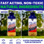 2 Reusable Fly Traps Outdoor Fly Traps with 4 Natural Fly Magnet Bait Refill. Flies Trap Outdoor Reusable Fly Trap Jar Fly Trap Fly Catchers Outdoor Fly Bait Fly Bags Flytraps Stable Horse Fly Trap