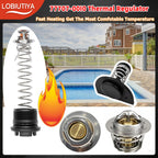 LOBIUTIYA 77707-0010 Thermal Regulator and 77707-0001 Manifold Bypass Valve Kit Compatible with MasterTemp 400 250 200 300 333 and Sta-Rite Pool and Pool Heaters, 38000-0007S Thermal Regulator kit