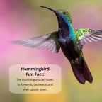 Sapphire Labs Nectar Defender - Hummingbird Nectar Extender That Prolongs The Life of Nectar for Hummingbird Feeders - It Works Exceptionally Well During Warm Weather Months - 2 Pack