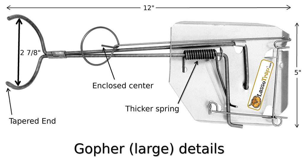 LASSO TRAP Gopher (Large) Trap (Pack of 2) Galvanized and Oil-Hardened Steel Lasso Trap/Super Cost Effective Reusable & Durable Animal Trap Best in The Lawn, Yard, Garden, Farm, & All Outdoor Setting