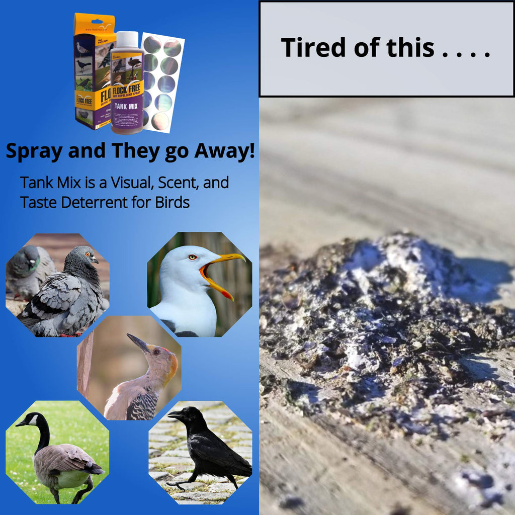 Bird Repellent Spray, Residential Bird Problem Solution by Flock Free Bird Control, 4 oz Concentrate