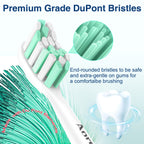 Aoremon Replacement Heads for Philips Sonicare Electric Toothbrush Compatible with Sonicare 2 Series C2 C1 Brush head and for all Sonicare Click-on Toothbrush Modles, 10 Pack