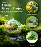 Live Moss 4-Pack (Each 3.5"x7") – Real Mixed Moss for Terrariums, Reptile Habitats, Fairy Gardens & Potted Plants – 4 Random Varieties, Easy to Revive, Natural Green Decor