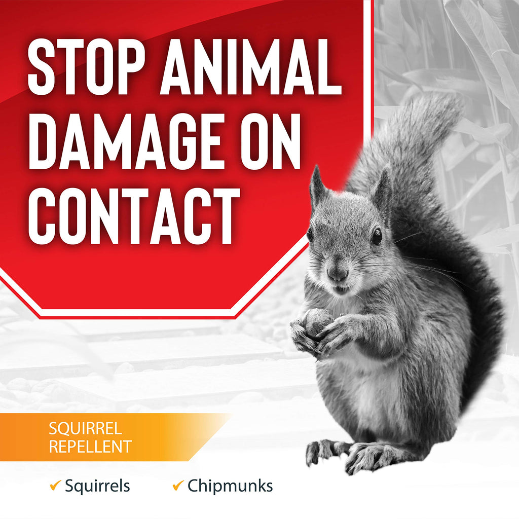 Squirrel Stopper Repellent Spray - Chipmunk & Squirrel Deterrent for Bird Feeders, Garden & Homes - Weather-Resistant Formula - Scent, Taste & Touch Barrier - Safe Around Kids & Pets - 1 Gallon