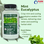 Eucalyptus Scented Spa Shock- Non-Chlorine Shock for Any Spa or Hot Tub-Use with Bromine Tablets or Spa Chlorine. Fragrance Infused Oxygen Crystals Treat Water and Oxidize Chemical Odors