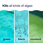 HTH 67084 Pool Care Algae Guard Advanced, All Algae Eliminator for Swimming Pools - Fast-Acting, Destroys & Prevents Green, Black & Mustard Algae, Keeps Pool Water Crystal Clear, 32 fl oz