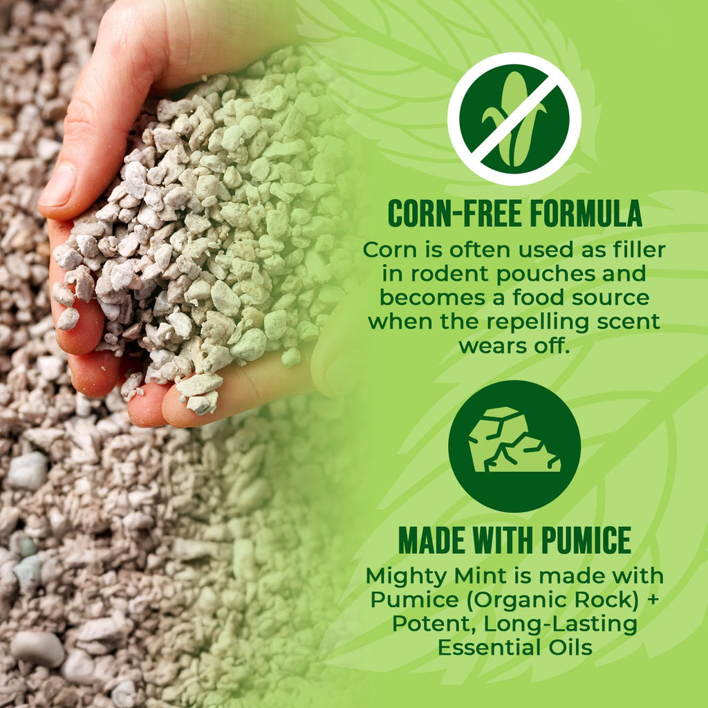 Mighty Mint Mouse Repellent Pouches – Peppermint, Castor Oil & Cinnamon Formula – Natural Indoor Deterrent for Mice and Rodents – Plant-Based, Long-Lasting Protection – 12 Count