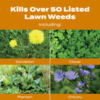 Scotts Turf Builder WinterGuard Fall Weed & Feed3, Weed Killer Plus Fall Fertilizer, 4,000 sq. ft., 11.43 lbs.