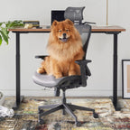 Anidaroel Office Chair Mat for Hardwood Floor, 48"x60" Under Desk Chair Rug for Rolling Chair, Anti-Slip Computer Chair Mat, Low Pile Carpets Floor Rug for Home Office Gaming Room