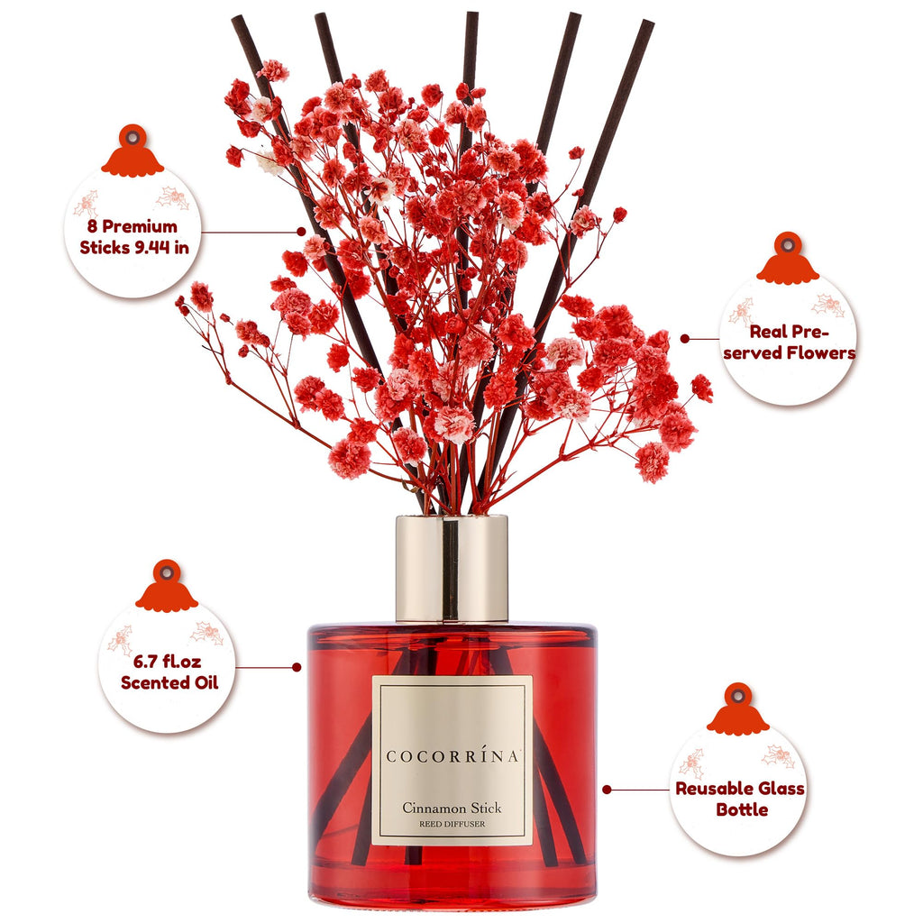 COCORRÍNA Diffuser - Balsam & Fir 6.7 Fl.oz Diffuser with 8 Sticks Home Fragrance Christmas Reed Diffuser for Bathroom Shelf Decor Home Decor