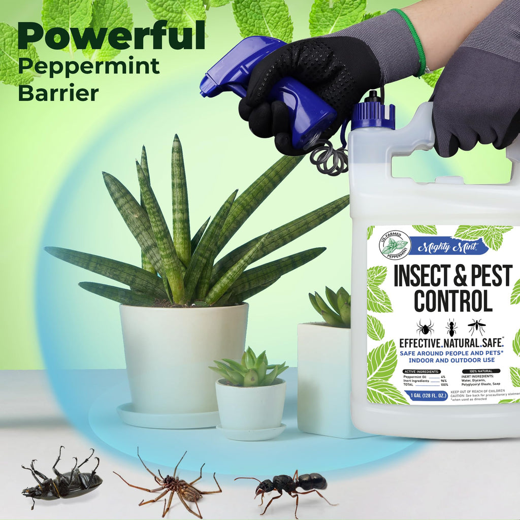 Mighty Mint Gallon (128 oz) Insect and Pest Control Peppermint Oil - Natural Spray for Spiders, Ants, and More