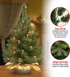 National Tree Company Pre-lit Artificial Mini Christmas Tree | Includes Small Lights and Cloth Bag Base | Majestic Fir - 2 ft