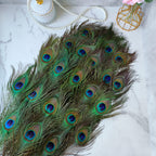 THARAHT 60pcs Peacock Feather Natural in Bulk 10-12 inch 25-30cm for Craft Vase Wedding Home Party Christmas Day Decoration Peacock Feathers
