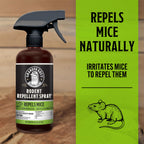 Grandpa Gus's Double-Potent Rodent Repellent Spray, Peppermint & Cinnamon Oil, Prevents Mouse/Rats from Nesting & Chewing on Wires, 16 fl oz (Pack of 1)