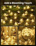 Brightown 2 Pack Total 52FT 120 LED Solar String Lights Flower Outdoor Waterproof Fairy Lights for Garden Yard Fence Patio Christmas Tree Wedding Party Decor, Warm White