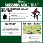 Garsum Plunger Mole Trap Gopher Trap Reusable Quick and Clean Kill (Black_ 1 Mole Trap)