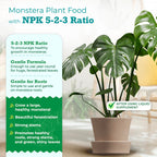 Monstera Plant Food by Houseplant Resource Center | Premium Liquid Fertilizer (5-2-3 NPK) - Ideal for Monstera, Pothos, and Snake Plants (8 Fluid Ounces)
