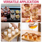 Zcaukya 500 Shot Glasses, 1oz Clear Plastic Disposable Hard Cups, Mini Cups Great Container for Sauce, Sample Tasting, Jello Shots, Pudding