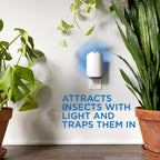 Zevo Flying Insect Trap, Fly Trap Refill Cartridges (Twin Pack, 4 Cartridges)