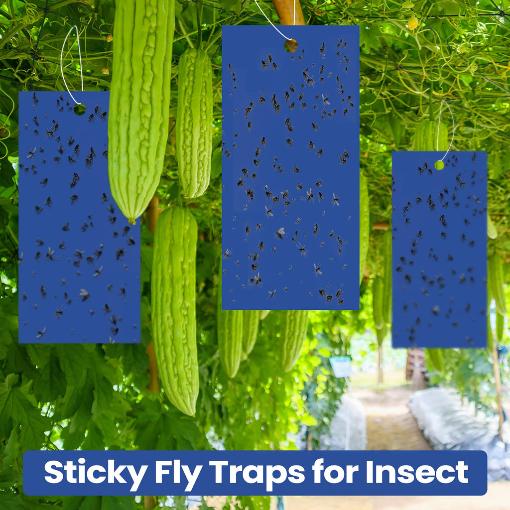 Qualirey 100 Pcs Double Sided Sticky Traps for Flying Plant Insect Like White Flies Aphids 7.87 x 3.9 Inch Sticky Gnat Traps Killer Fruit Fly Traps for Indoor Outdoor Including Twist Ties (Blue)