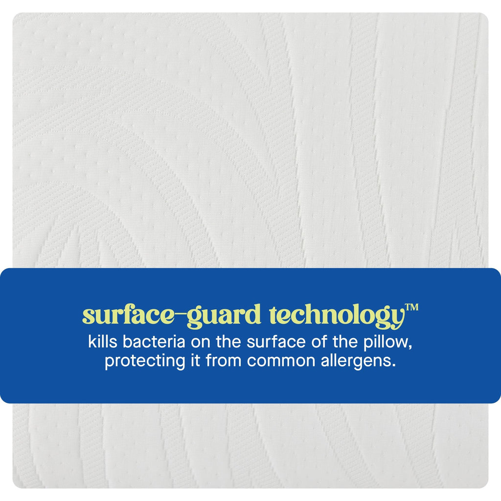 SEALY Dreamlife Standard Size Contour Memory Foam Pillow with Surface Guard Technology, Removable Machine-Washable Cover, 1 Year Limited Warranty