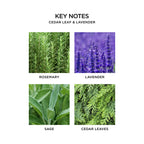 NEST New York Cedar Leaf & Lavender Liquid Hand Soap, 10 Fl Oz