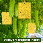 250 Pcs Double Sided Sticky Traps for Flying Plant Insect Like White Flies Aphids 6 x 8 Inch Sticky Gnat Traps Killer Fruit Fly Traps for Indoor Outdoor Including Twist Ties, Yellow