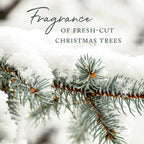 Thymes Frasier Fir Pine Needle Candle – Holiday Candles for Home Scented with Notes of Crisp Siberian Fir, Cedarwood & Sandalwood – Christmas Decor – Christmas Gifts for Women & Men (6.5 oz)