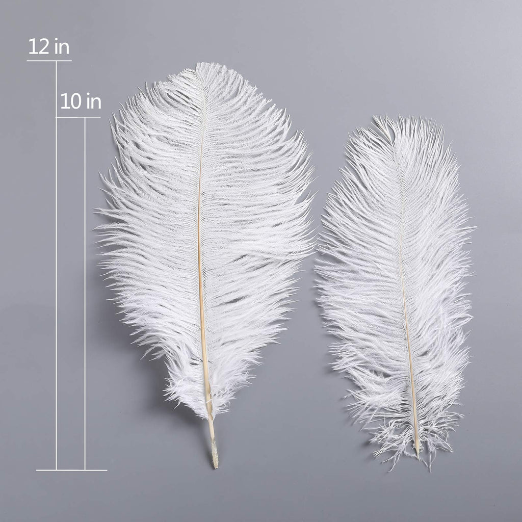 AWAYTR 10-12 inch (25-30cm) Natural Ostrich Feathers for Wedding Centerpieces Home Decoration,Flower Arrangement,DIY Christmas Decorations (20pcs,White)