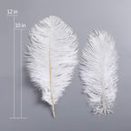 AWAYTR 10-12 inch (25-30cm) Natural Ostrich Feathers for Wedding Centerpieces Home Decoration,Flower Arrangement,DIY Christmas Decorations (20pcs,White)