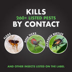 Spectracide Immunox Multi-Purpose Fungicide Spray Concentrate + Spectracide Concentrate Triazicide Insect Killer