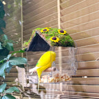 Window Bird Feeder with 4 Strong Suction Cups, DIY Clear Bird Feeder with Lawn on Top, Wild Bird House Window for Garden or Yard Decor, Elderly Kids Viewing,Bird Watching Gift