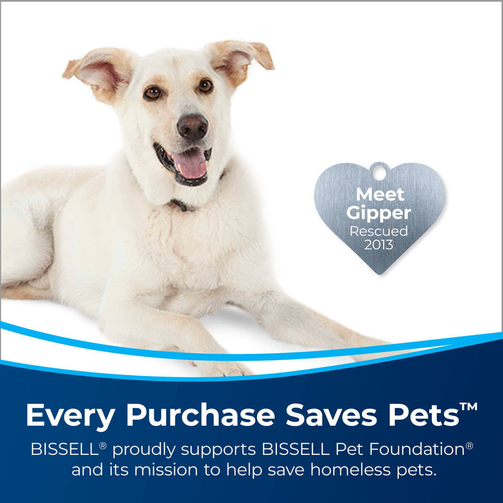BISSELL® PRO OXY Deep Clean Formula, 48 oz. (3156)