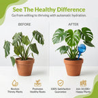 Little Green Leaf Automatic Plant Watering Globes Self Watering Planter Inserts (Set of 4) | Hands Free Multicolor Glass Bulbs | Planter Spikes to Support Indoor & Outdoor Plant Health (350ml)