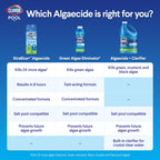 Clorox® Pool&Spa™ Swimming Pool Algaecide, Prevents and Treats Pool Algae, Non-Foaming, 1 Quart (Pack of 1)