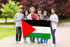 DANF Palestine Flag 3x5 Ft Thick Polyester, Fade Resistant, Brass Grommets, Canvas Header Palestinian National Flags with 3 X 5 Feet