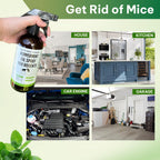 Kate Naturals Peppermint Oil Spray for Rodents, Squirrels, Mouse, Bat, Rat, Car Engines, Mice (16oz, Non-Toxic Rodent Repellent, Pet Safe)