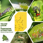 Qualirey 100 Pcs Double Sided Sticky Traps for Flying Plant Insect Like White Flies Aphids 7.87 x 3.9 Inch Sticky Gnat Traps Killer Fruit Fly Traps for Indoor Outdoor Including Twist Ties (Yellow)