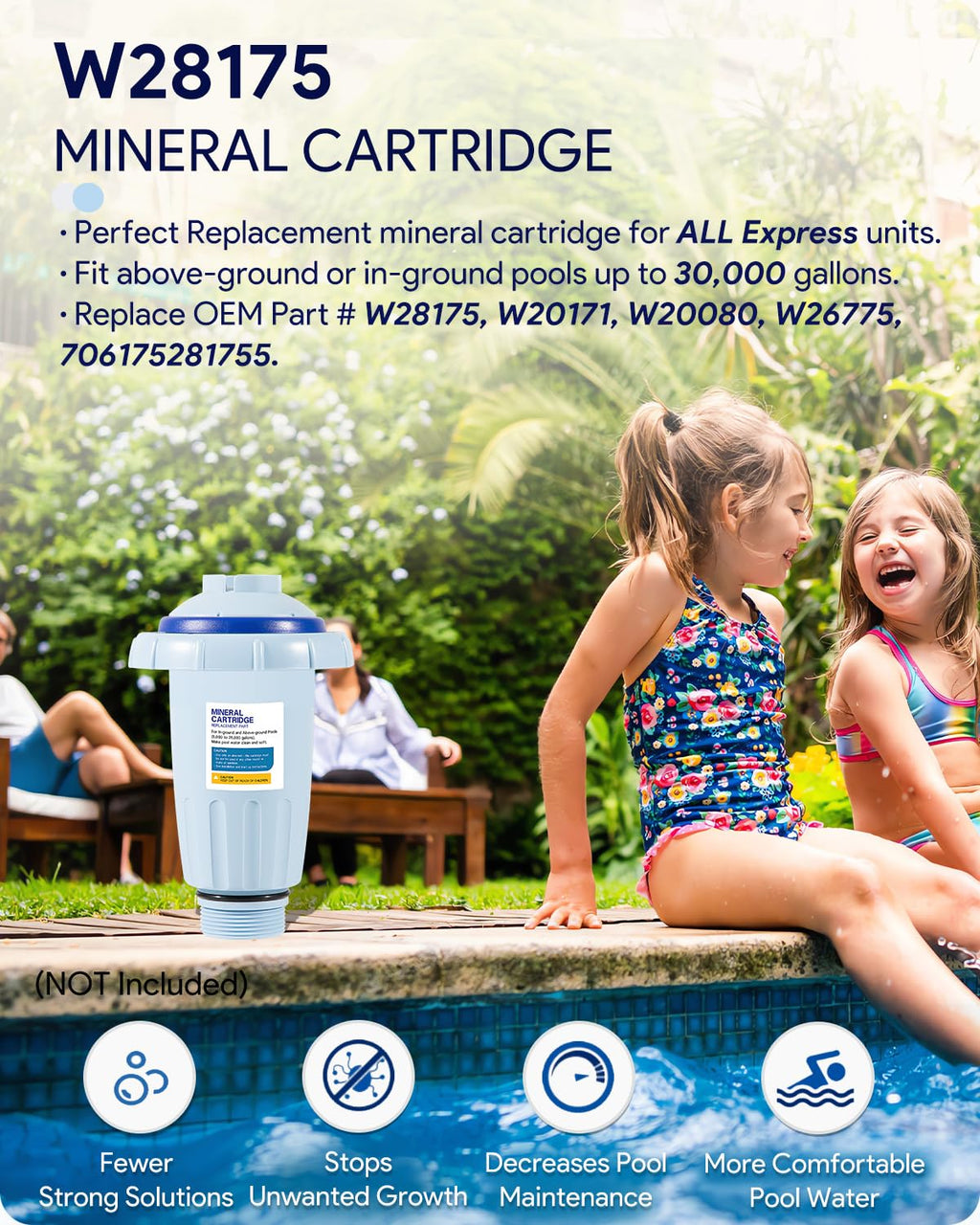 W28175 Replacement for Nature2 Express Mineral Cartridge for Pool System, for In-Ground & Above-Ground Pools up to 30,000 Gallons, W20171, W20080, W26775