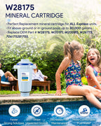 W28175 Replacement for Nature2 Express Mineral Cartridge for Pool System, for In-Ground & Above-Ground Pools up to 30,000 Gallons, W20171, W20080, W26775