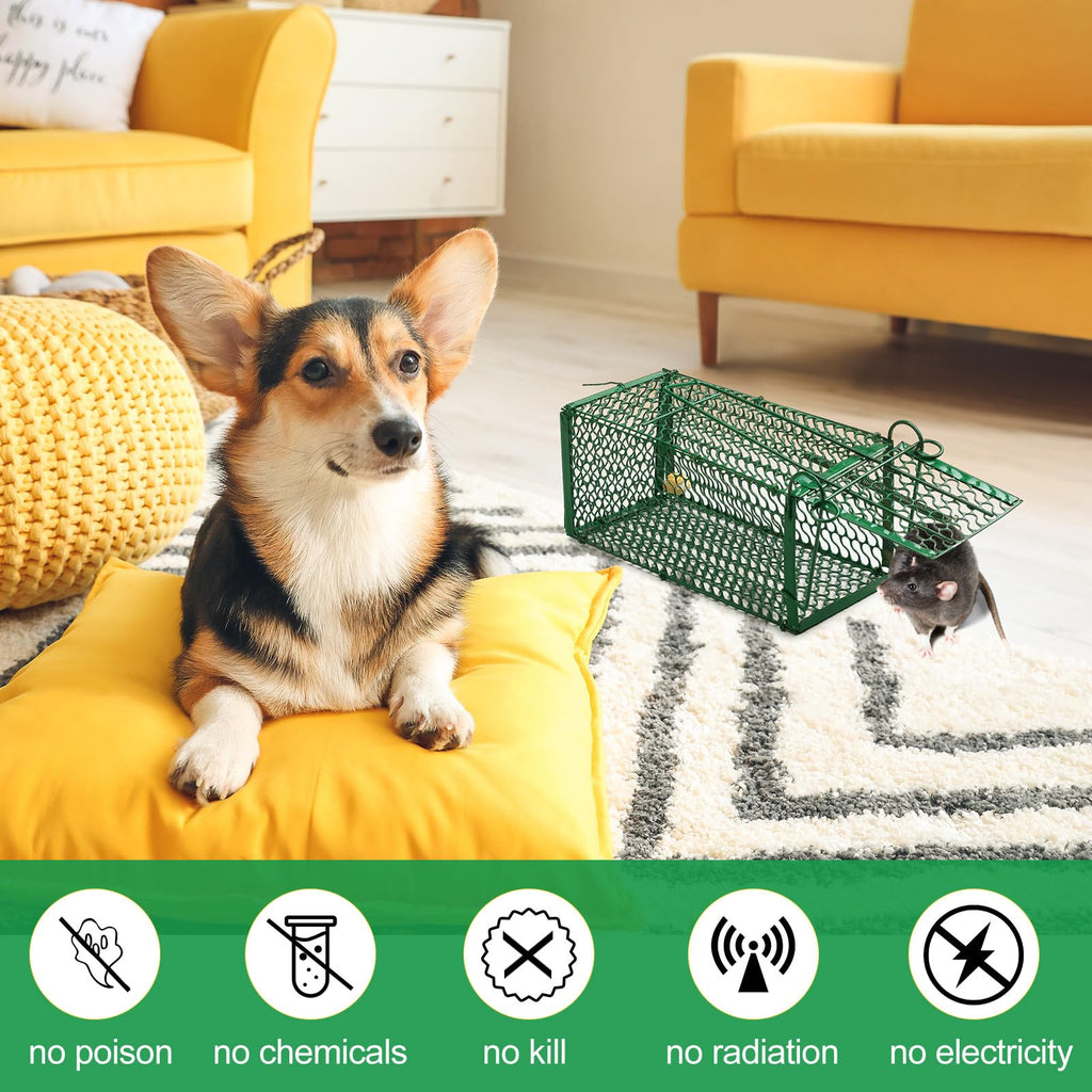 Kittmip 8 Pcs Humane Rat Trap Chipmunk Squirrel Cage Trap Foldable Rodent Trap for Small Live Animal Voles Hamsters Cage Catch and Release for Indoors Outdoors Kitchen Yard Garage (Green)
