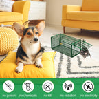 Kittmip 8 Pcs Humane Rat Trap Chipmunk Squirrel Cage Trap Foldable Rodent Trap for Small Live Animal Voles Hamsters Cage Catch and Release for Indoors Outdoors Kitchen Yard Garage (Green)