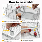2-Pack Humane Rat Cage Traps, Live Mouse Rat Traps Catch and Release for Indoor Outdoor, Small Animals Traps, Easy to use, Pet Safe ( 10.6"x 5.5"x 4.5" )