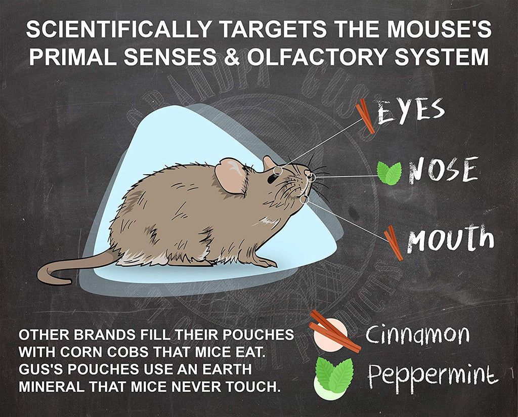 Grandpa Gus's Extra-Strength Mouse Repellent Pouches, Cinnamon/Peppermint Oils Repel Mice from Nesting & Freshen Air in Car/RV/Boat/Garage/Shed/Cabin (Pack of 16)