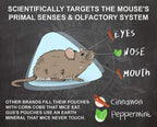 Grandpa Gus's Double-Potent Rodent Repellent Spray, Peppermint & Cinnamon Oil, Prevents Mouse/Rats from Nesting & Chewing on Wires, 16 fl oz (Pack of 1)