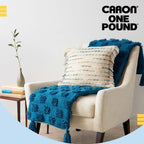 Caron One Pound Purple Yarn - 2 Pack of 454g/16oz - Acrylic - 4 Medium (Worsted) - 812 Yards - Knitting/Crochet